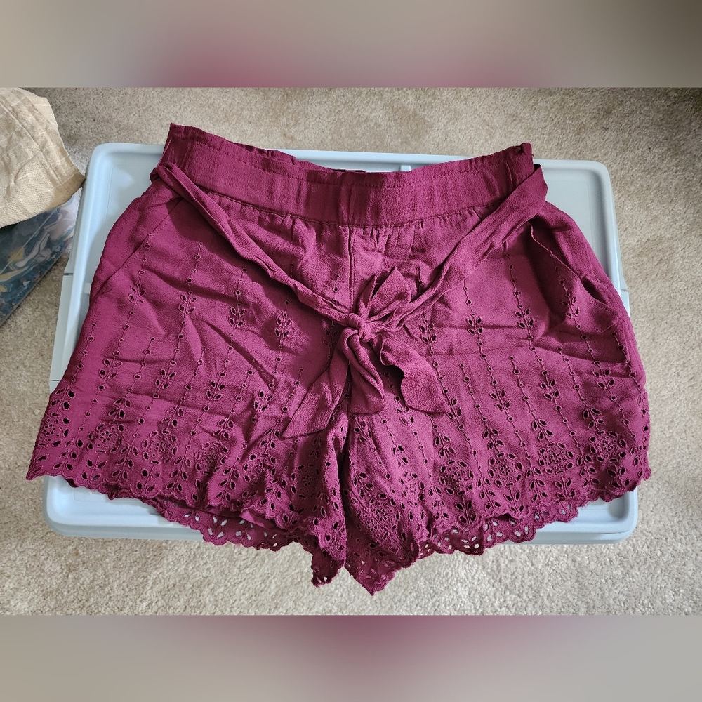 NWTs Loft shorts (Sz Medium)
